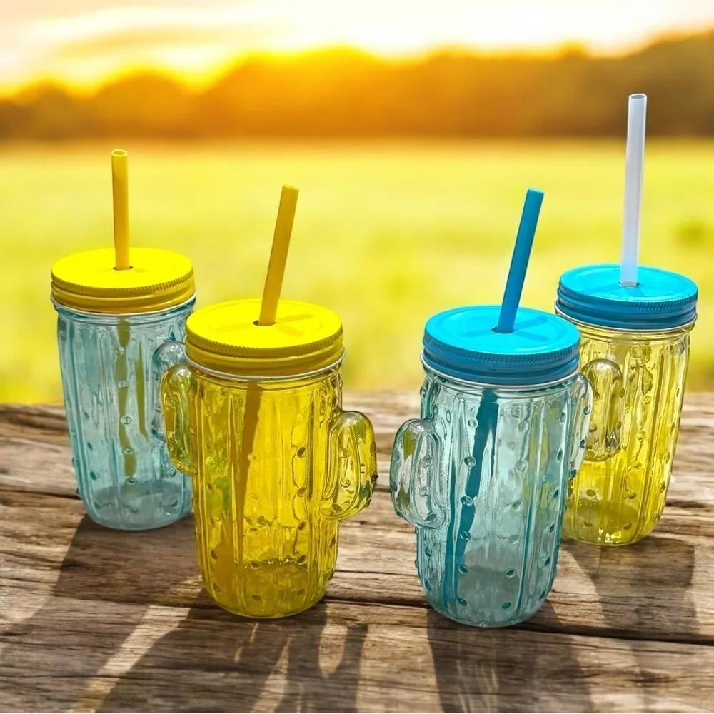 Colorful Cactus Mason Jar‎ Set